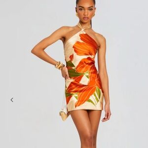 NWT Retrofete Adelaide Silk Dress
